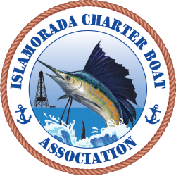 islamorada charter boat association